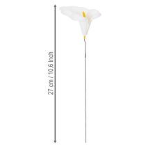 Artikel Calla lelies, middelgroot, op draad, 50 stuks