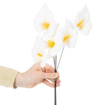 Artikel Calla lelies, middelgroot, op draad, 50 stuks