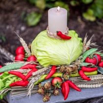 Artikel Chilipepers rood voerdummy 9cm op tak 3 st