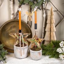 Artikel Kerstboomversieringen, adventsversieringen, sterhangers goud B15cm 8 st