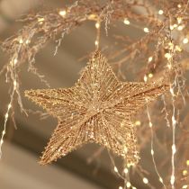 Artikel Kerstboomversiering, Adventsdecoratie, sterhanger goudkleurig B20,5cm 6 stuks