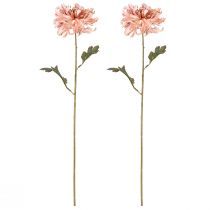 Artikel Chrysanten Roze Zalm Kunst Ø13cm L72cm 2st