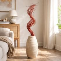 Artikel Gedroogde krulwilgentak voor decoratieve doeleinden, geschikt voor bloemschikken en woonaccessoires, 80 cm, 70 g