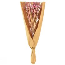 Artikel Currykruid Immortelle Kunstroze L28cm 12 stuks 1 bos