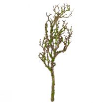 Artikel Decoratieve tak met mos kunst herfstdecoratie grijsgroen L78cm