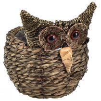 Decoratieve plantenpot uil stro grijsbruin 16×11cm