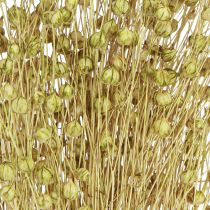 Artikel Deco Vlas Gedroogde Droogbloemen Olijfgroen 50g