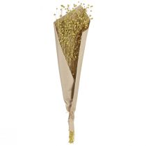 Artikel Decoratieve gedroogde vlasbloemen olijfgroen 50 g