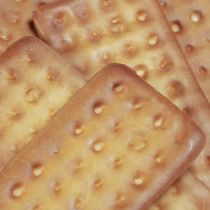 Artikel Decoratieve koekjes kunstvoeding 9×4cm 24 st