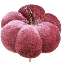 Artikel Decoratieve pompoen van stof pompoen op stok bordeaux roze Ø7cm 9 st