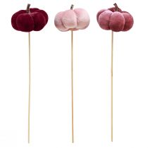Artikel Decoratieve pompoen van stof pompoen op stok bordeaux roze Ø7cm 9 st