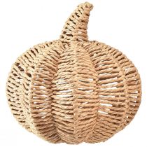 Artikel Decoratieve pompoen raffia naturel rustieke herfstdecoratie Ø25cm H25cm