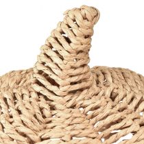 Artikel Decoratieve pompoen raffia natuurlijke rustieke herfstdecoratie Ø25cm H25cm