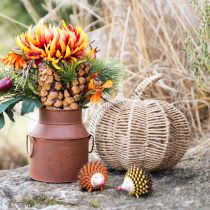 Artikel Decoratieve pompoen raffia naturel rustieke herfstdecoratie Ø25cm H25cm