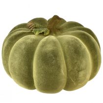 Artikel Decoratieve pompoen gevlokt groen – fluweelzachte, prachtige herfstdecoratie 32cm