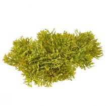 Artikel Decoratief mos kunstgroen bruin – moskussen 10/12/14cm 3 stuks