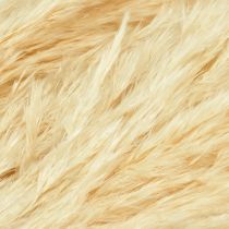 Artikel Decoratief pampasgras crème droog gras gebleekt 95cm 3 st