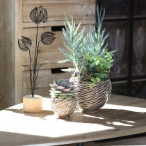 Artikel Decoratieve schaal bloempot keramiek beige bruin Ø15cm 2st