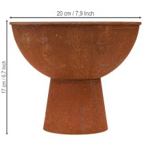 Artikel Decoratieve schaal met voet, kelkschaal, roestkleurig metaal, Ø20,5 cm, 2 stuks