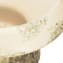 Artikel Decoratieve schaal keramiek met voet crème grijs groen Ø17cm 10cm