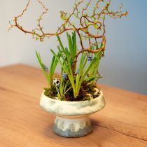 Artikel Decoratieve schaal keramiek met voet crème grijs groen Ø17cm 10cm