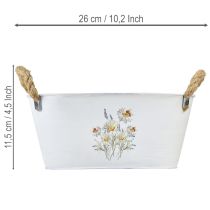 Artikel Decoratieve ovale metalen schaal, wit met natuurlijke bloemenversiering, L26cm