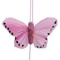 Artikel Veer vlinders op draad gekleurd 5,5 cm 24 stks