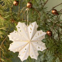 Artikel Elegante papieren sneeuwvlokken voor winter- en kerstdecoraties