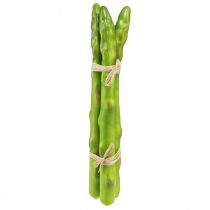 Artikel Decoratieve Asperges Groen Kunstgroente L22cm Ø1,5cm 3st