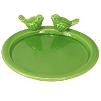 Artikel Decoratief bord vogelbad tafeldecoratie keramiek groen Ø20,5cm 2st