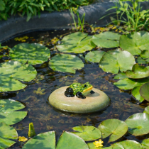 Artikel Decoratieve keramische kikker, drijvende steen voor tuinvijvers en waterpartijen, 13 cm, 3 stuks