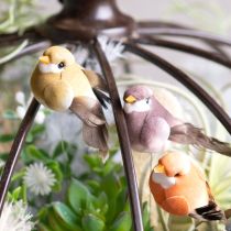 Artikel Decoratieve vogels, kunstmatige woondecoratie, lente, met kleurrijk verenkleed van echte veren, 5 cm, 18 stuks