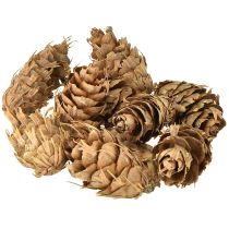 Artikel Douglas kegels 1,3 kg