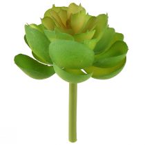 Artikel Echeveria Kunstmatige Vetplanten Groen Ø7cm 6 stuks