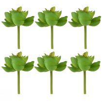 Artikel Echeveria Kunstmatige Vetplanten Groen Ø7cm 6 stuks