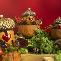 Artikel Eikel met raam en hartdecoratie 9,8 cm - sfeervolle herfst- en winterdecoratie - 4 stuks