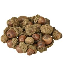 Artikel Eikels ter decoratie, herfstdecoratie, natuurlijke herfstvruchten Ø1,5 – 2,5 cm L1,5 – 3 cm 300 g