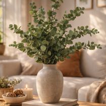 Artikel Geconserveerde decoratieve eucalyptus takken en bladeren, ronde gedroogde decoratie, groen, 150 g