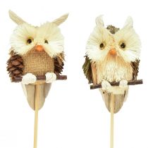 Artikel Uil decoratieve bloempluggen herfstdecoratie naturel Ø4cm H8cm 4st