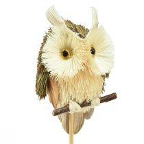 Artikel Uil decoratieve bloempluggen herfstdecoratie naturel Ø4cm H8cm 4st