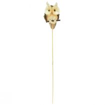 Artikel Uil decoratieve bloempluggen herfstdecoratie naturel Ø4cm H8cm 4st