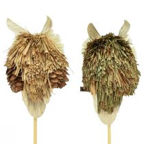 Artikel Uil decoratieve bloempluggen herfstdecoratie naturel Ø4cm H8cm 4st