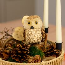 Artikel Uil decoratieve figuren herfst met kegels 12,5×10×10cm 2st