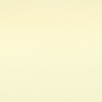 Artikel Bloemist crêpepapier champagne 50x250cm