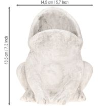 Artikel Kikker decoratieve plantenbak bloempot betongrijs H18,5cm