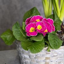 Artikel Gevlochten mand als stijlvolle bloemdecoratie in de woonkamer. Paasmand, 23 cm, 6 stuks.