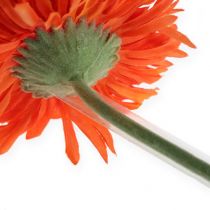 Artikel Gerbera buisdelen 1000st