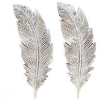 Artikel Grafdecoratie veer grijs wit grafdecoratie polyresin 15,5cm 4 st
