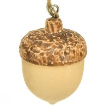 Artikel Eikel voor hangdecoratie herfst naturel/bruin 5,3x3,5cm 12 stuks