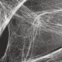 Artikel Halloween decoratie spinnenweb spinnenwebben 70×100cm 150g